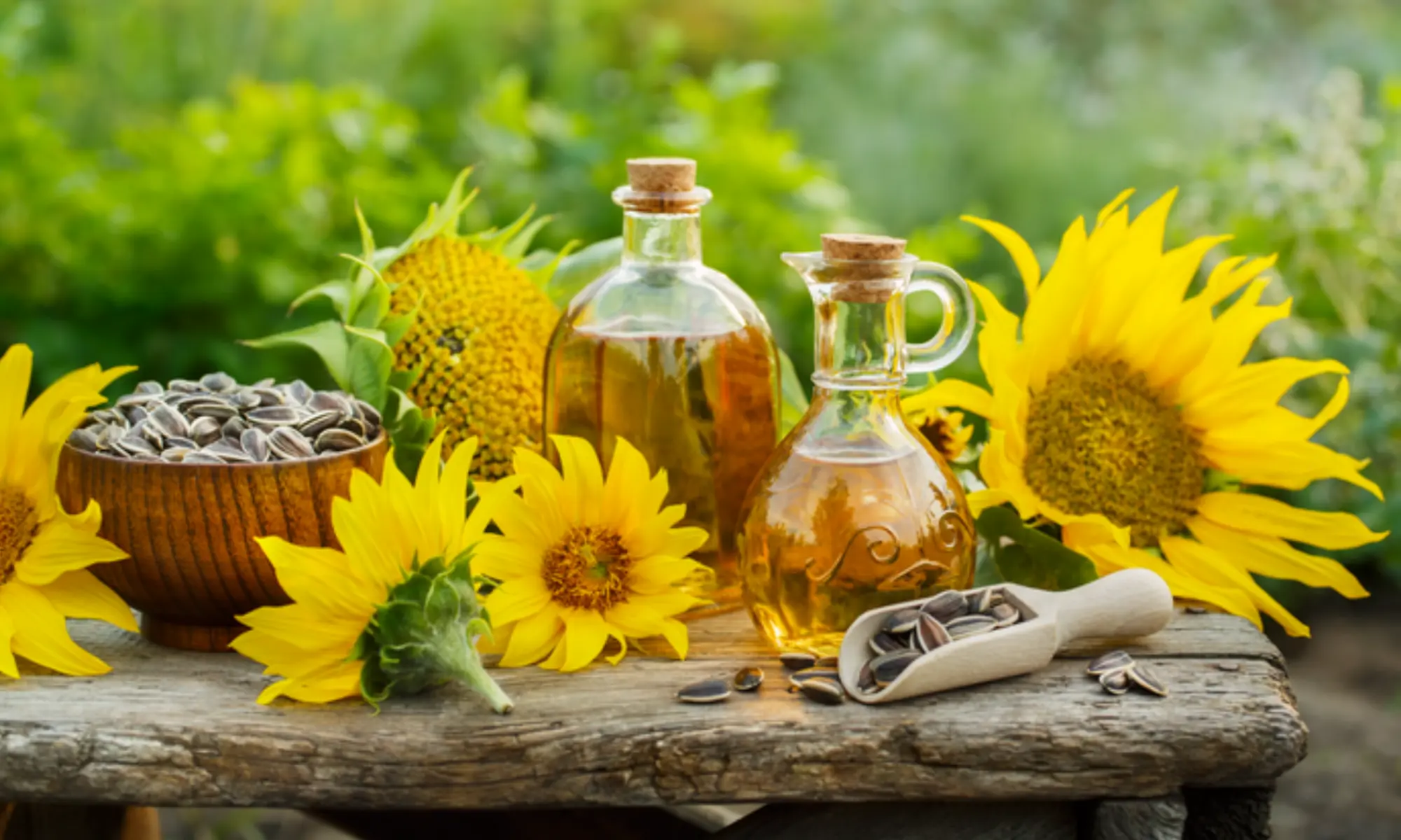 botellas de aceite de girasol rodeadas de flores de girasol